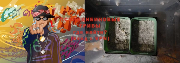 герыч Алексин