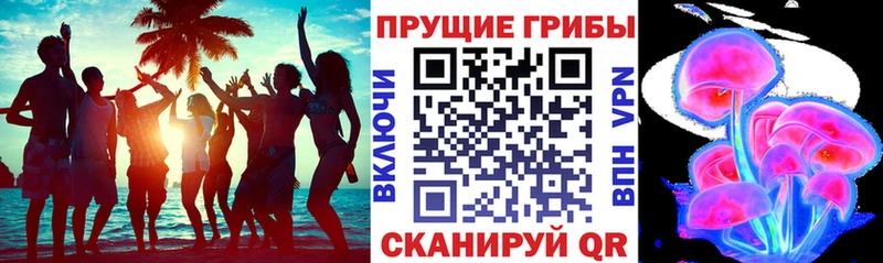 даркнет сайт  Омск  Галлюциногенные грибы Cubensis 